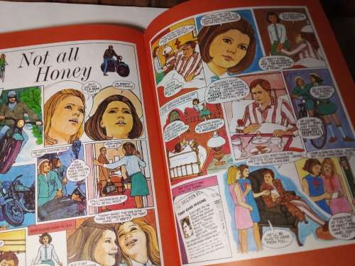 Daily Mirror Book for Girls 1972