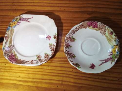 Royal Standard `Sussex Downs` Saucer & Side Dish