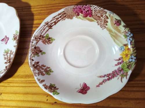 Royal Standard `Sussex Downs` Saucer & Side Dish