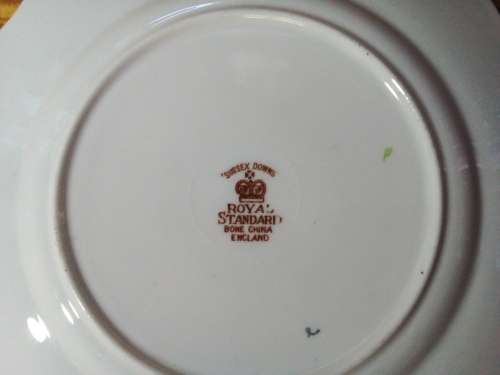Royal Standard `Sussex Downs` Saucer & Side Dish