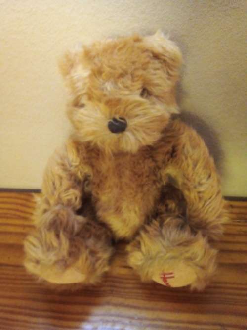 Harrods Soft and Cuddly Teddy Bear