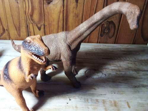 Two Solid Dinosaur Toys
