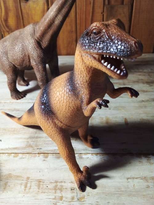 Two Solid Dinosaur Toys