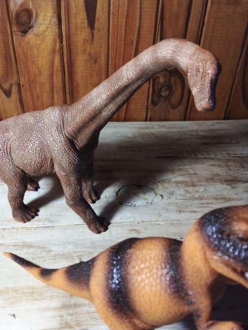 Two Solid Dinosaur Toys