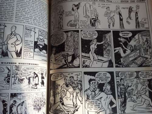 The Penguin Book of Comics  - A Short History