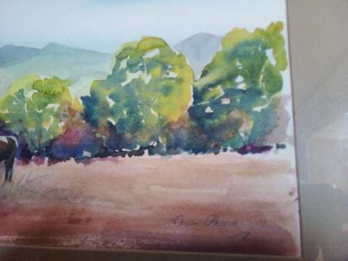 Framed Dawn Pearse Watercolour Painting or Print