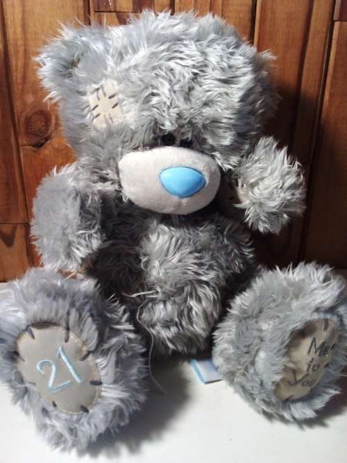 Cuddly Me to You Teddy Bear