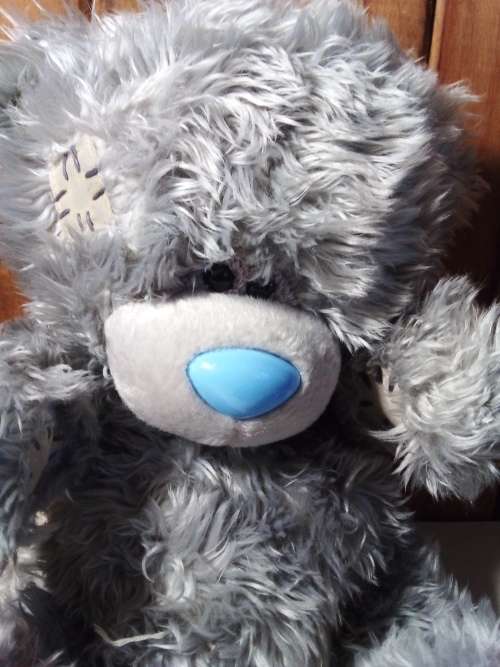 Cuddly Me to You Teddy Bear