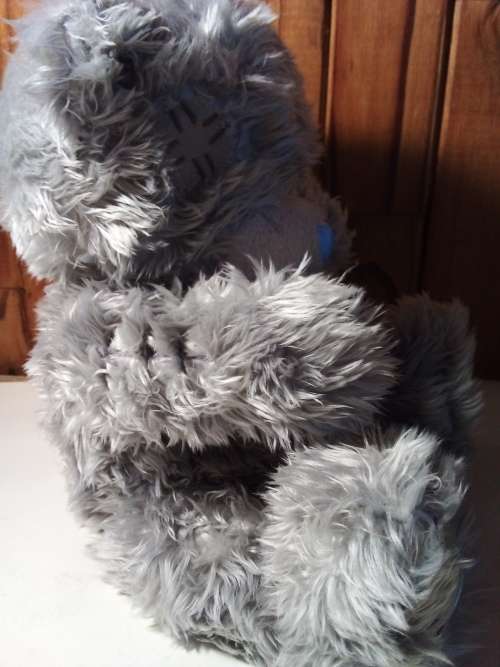Cuddly Me to You Teddy Bear