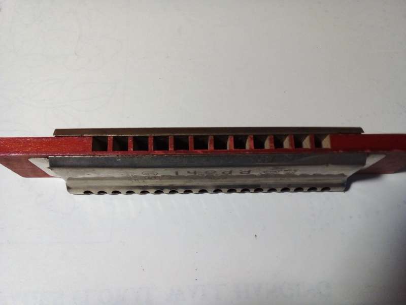 Vintage Wood & Metal Mouth Organ - Made in Germany