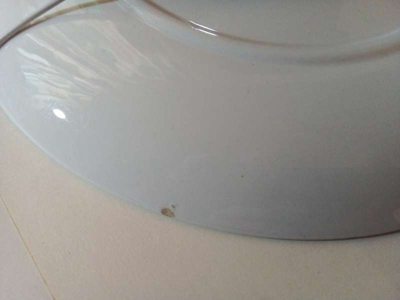 Continental `Country Ways` Plate