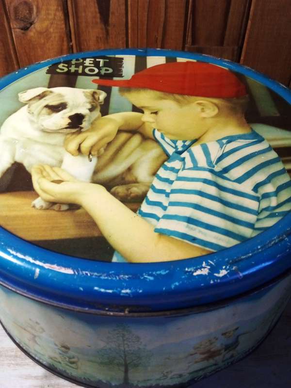 Large Vintage Pyotts Biscuit/Beskuitjies Tin
