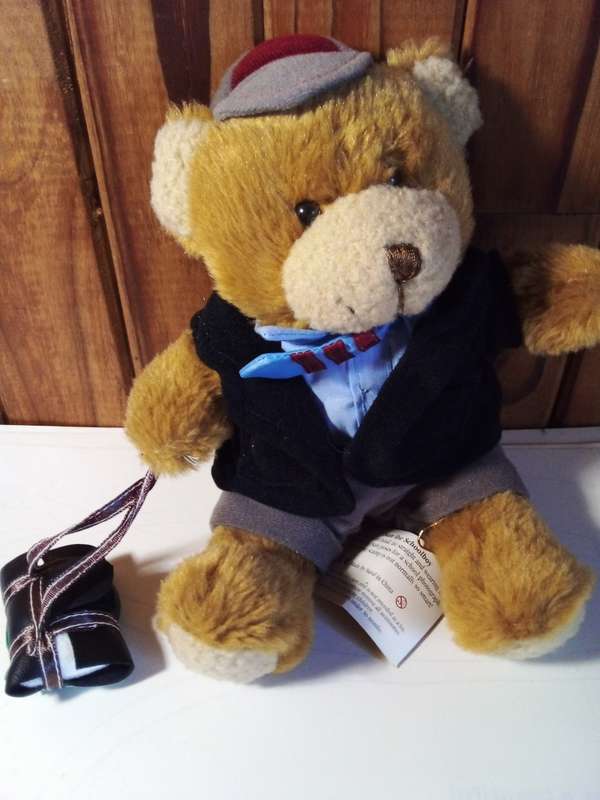 The Teddy Bear Collection School Boy