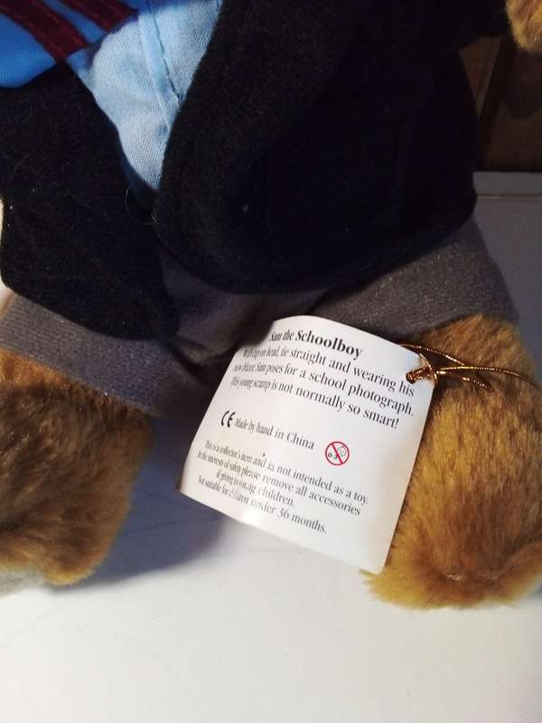 The Teddy Bear Collection `School Boy`
