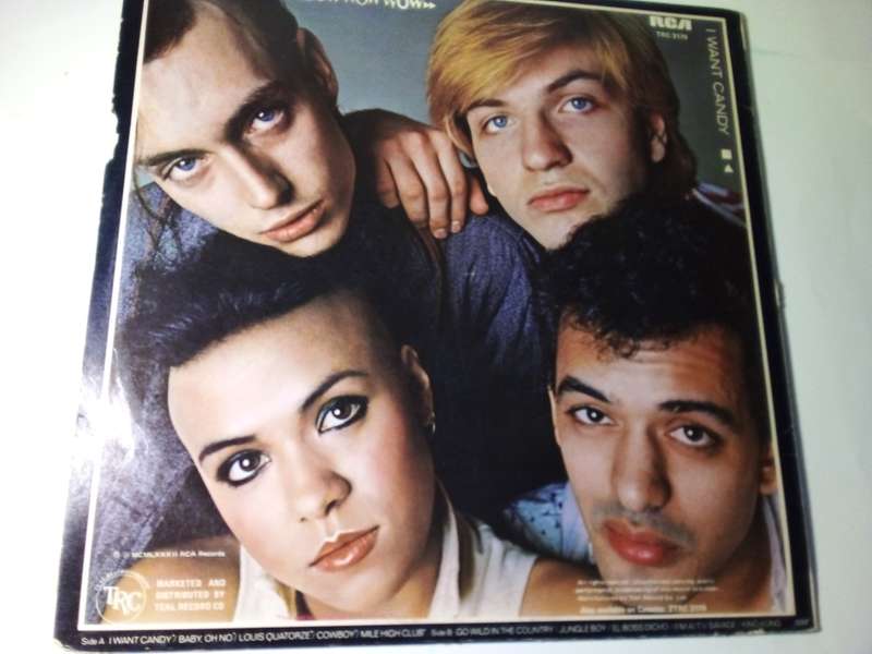Bowwowwow - I Want Candy Vinyl LP (SP258)