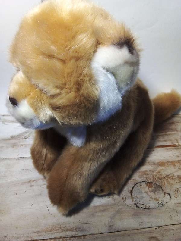 Soft & Cuddly Peluche Wild Soft Toy