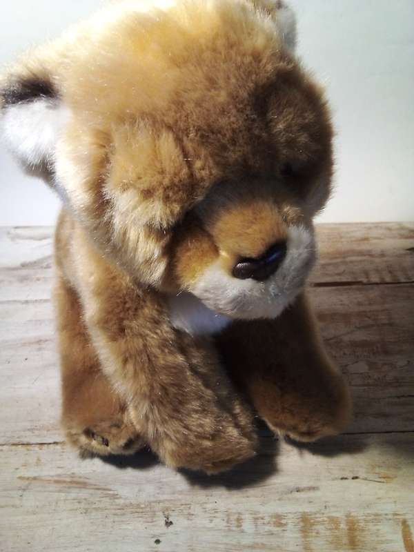 Soft & Cuddly Peluche Wild Soft Toy