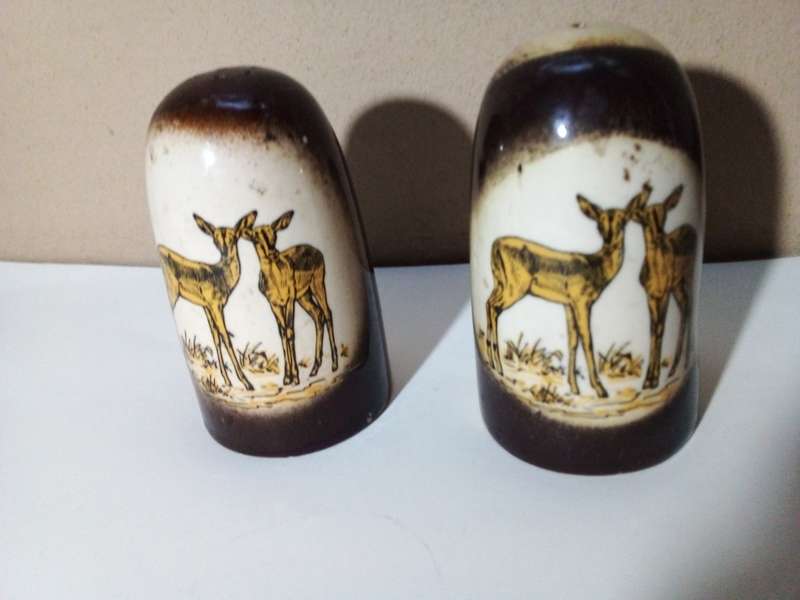 Vintage Kruger Park Salt and Pepper Shakers
