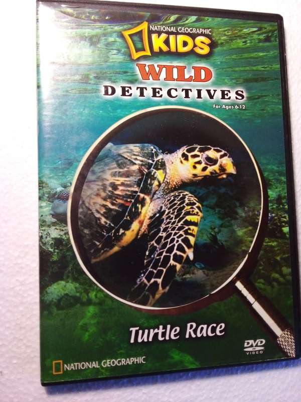 Turtle Race Kids Documentary DVD