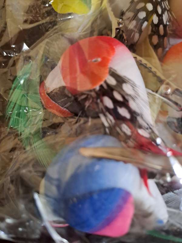 Set of 6 beautiful artificial Birds