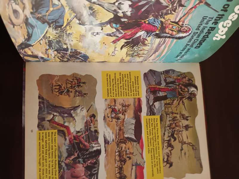 Valiant Annual 1984