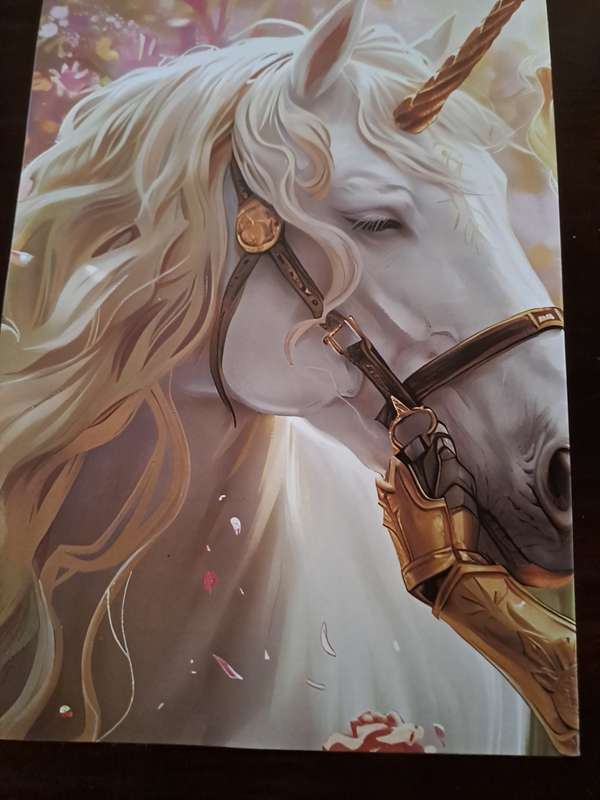 Adult Colouring book Princess and Unicorn