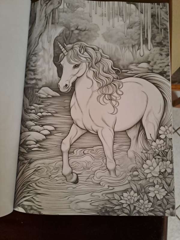 Adult Colouring book Princess and Unicorn