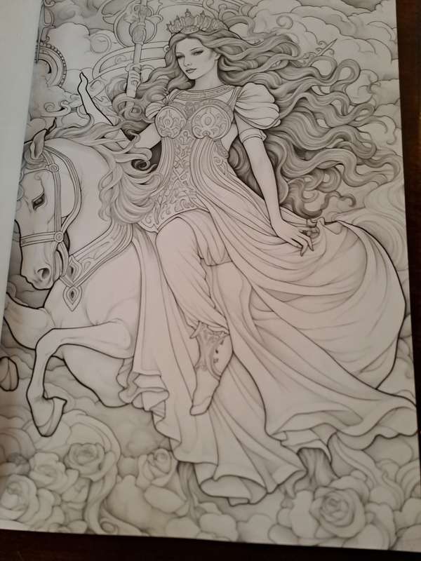 Adult Colouring book Princess and Unicorn