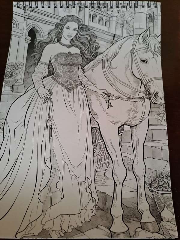 Adult Colouring book A colouring book for the Princess Spiral Pages
