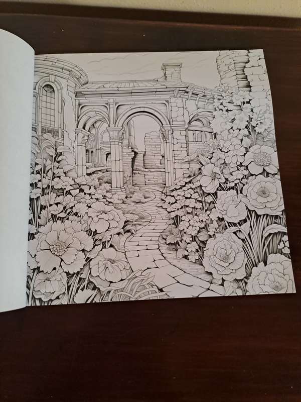 Colouring Book for Adults
