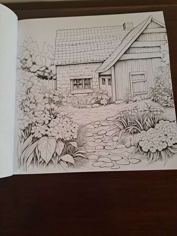 Colouring Book for Adults