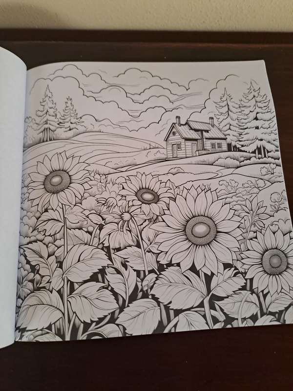 Colouring Book for Adults