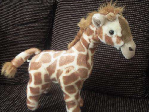 Soft Toy Camel