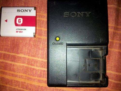 Sony Battery and Charger G-Type (NP-BG1)