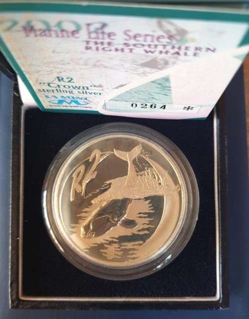 2002 Silver R2 Southern Right Whale