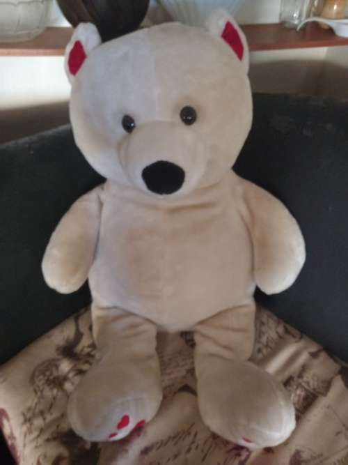 Teddy  Bear Large