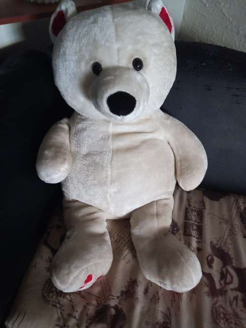 Teddy  Bear Large