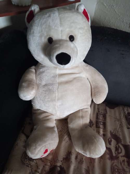 Teddy  Bear Large