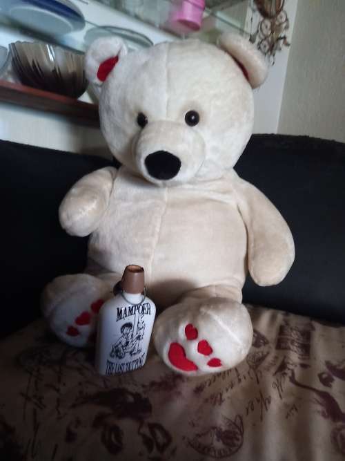 Teddy  Bear Large