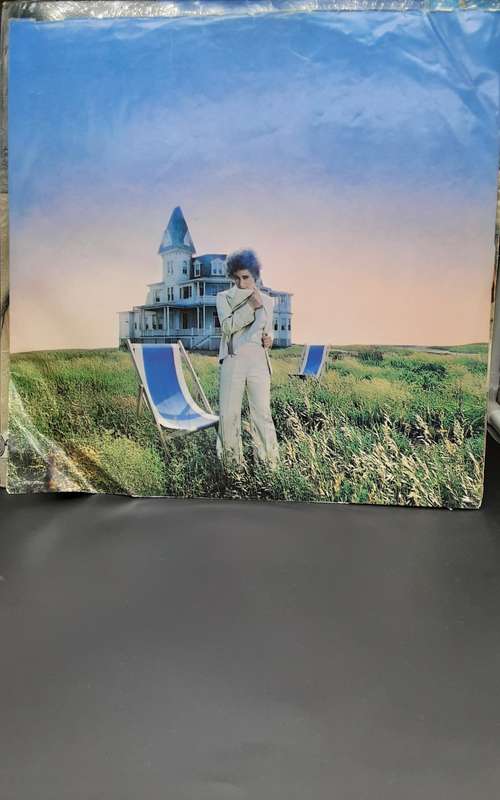 Janis Ian - Night Rains Vinyl LP