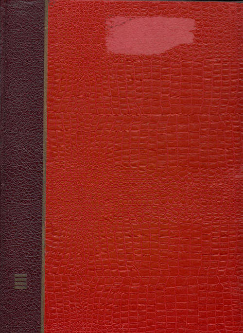 Red stock book normal sized 8 pages 16 sides 12 strips per side well used but see notes