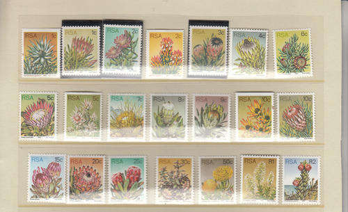 RSA/SWA sets per scans all MNH