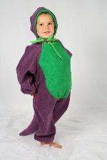 SALE:  Barney costume Age 2-3