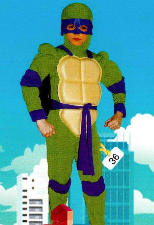 Teenage Mutant Ninja Turtles Muscles Costume