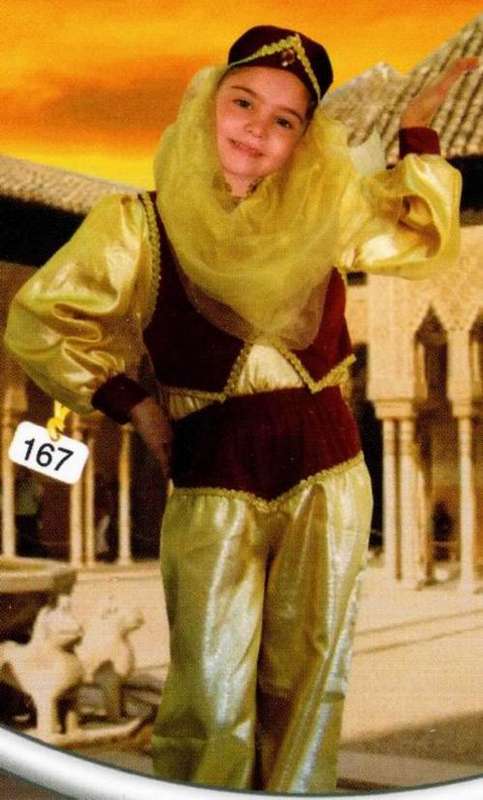 Arabian Girl / Arabian Princess Costume