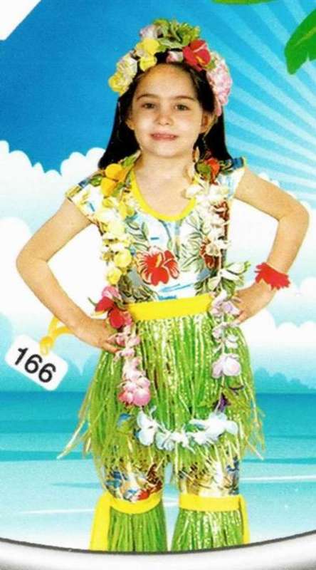 Hawaiian / Hawaii Girl Costume