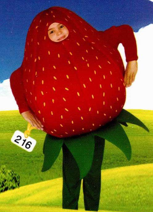 Strawberry Child Costume