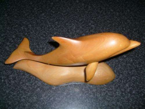 LARGE FINS OF KNYSNA YELLOWWOOD DOLPHIN SCULPTURE