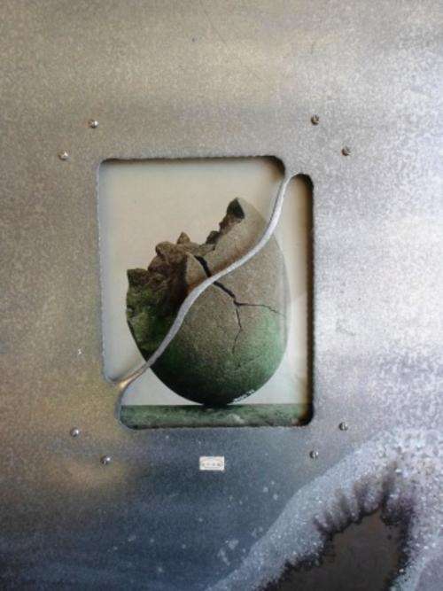 STUNNING!! ORIGINAL DEREK VD MERWE PHOTOGRAPHIC WALL SCULPTURE SIGNED & DATED '99
