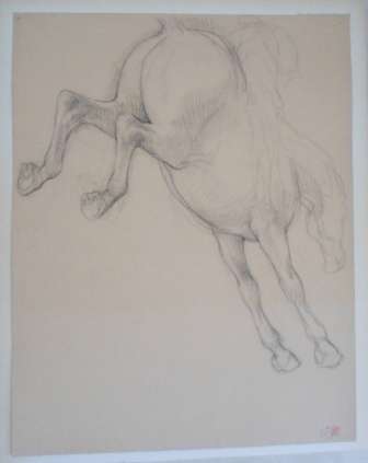 WOW!! LOVELY!! RAPHAEL GHISLAIN HORSE SKETCH DATED '55  425 X 330mm WOW!!